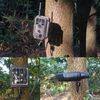 2-Pack Trail Camera & Action Camera Tree Mounts Bracket 360° Adjustable 1/4''-20 Solar Panel Mount Stand Holder