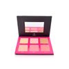 Shaina B. Miami Blush and Highlight Palette
