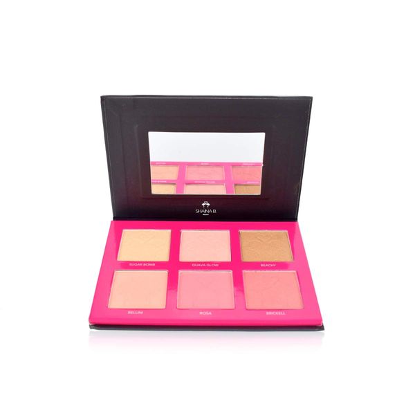 Shaina B. Miami Blush and Highlight Palette