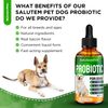 Dog Probiotics Drops | Digestive Balance & Enzyme Blend | 2 Oz