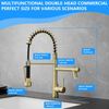 Gold Kitchen Faucet with Sprayer ,Modern Single Handle Spring Gold Kitchen Sink 