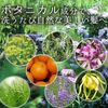 satori botanikarukondyisyona- 400ml Wonder If Replacement for Pouch Satori Series