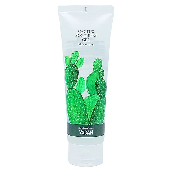 Yada Cactus Soothing Gel 250ml Contains 95% Bogum Cactus Stem Extract, 5ea