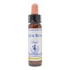 Healing Herbs/Flower Essence [Rock Rose]