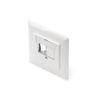 DIGITUS Junction Box for Keystone Module - 2 Port - Straight Outlet - For Multimedia Keystone Modules - White