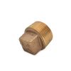 Thrifco 5318092 1/2 Inch Brass Plug Fitting