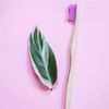 Humble Brush Purple Bamboo Toothbrush by Humble Brush