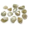 Prasiolite Small Crystal Tumblestines - 3 Pc