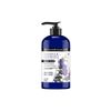 ApotheCARE Essentials The Detox Blend Body Wash Eucalyptus 16 oz