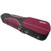 Theodore Childrens Violin - Standard Beginners 1/2 Size