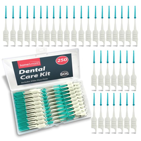 250pcs Dental Picks | Silicone Floss Sticks Dental | Tooth Floss Picks | Teeth Floss Sticks | Dental Floss Brush | Toothpicks Plastic | Toothpicks | Tooth Floss Brush | Between Teeth Cleaning Brushes