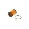 BOSCH F 026 407 173 Oil Filter