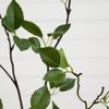 4' Artificial Citrus Minimalist Tree Home Decor. Retail $129