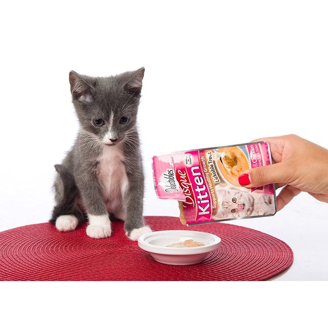 Bisque cat food hotsell