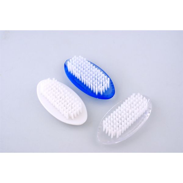 Source Oval Nail Brush in Assorted Colours (Colour May Vary)