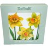 Set of 4 Daffodil Coasters Flower Design Cork Kitchen Dinner Table