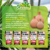 Bio Green HM-S Small HYDRO Max Clay Vessel - Brown