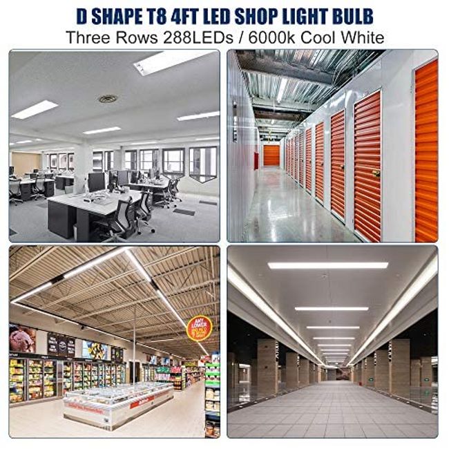 SHOPLED T8 LED Bulbs 4 Foot, 36W 6000K Cool White, Type B LED Tube Lights  4FT, D-Shaped, 4FT LED Bulbs Fluorescent Replacement, Ballast Bypass,  Double