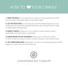Chesapeake Bay Candle PT42075 Candle, Multi-Wick Ceramic, Clary Sage