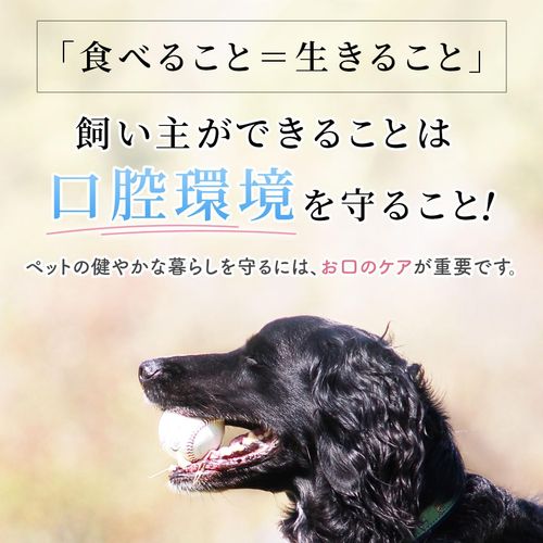 VISIONS Original Dog Visions Mouse Care Toothpaste Bio-Paste, Loose (2.1 oz (60 g), 100% Natural Ingredients, Additive-free, Made in Japan