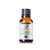 Cajeput Essential Oil (Indonesia) (10 ml)