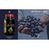 Resveratrol 500mg – Powerful Plant-Based Supplement, immunity boost – 1 Bottle
