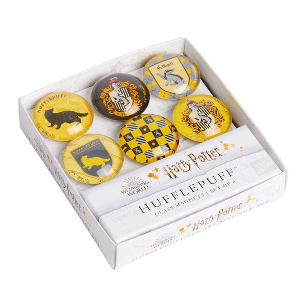 Harry Potter Hufflepuff Glass Magnet Set