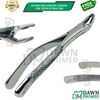 Dental Extracting Forceps #150XAS Serrated, Split Beak for Upper Teeth German Gr