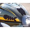 World Walk General Purpose Tank Pad Fish Fish G1-2