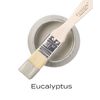 Fusion Mineral Paint (500 ml, Eucalyptus