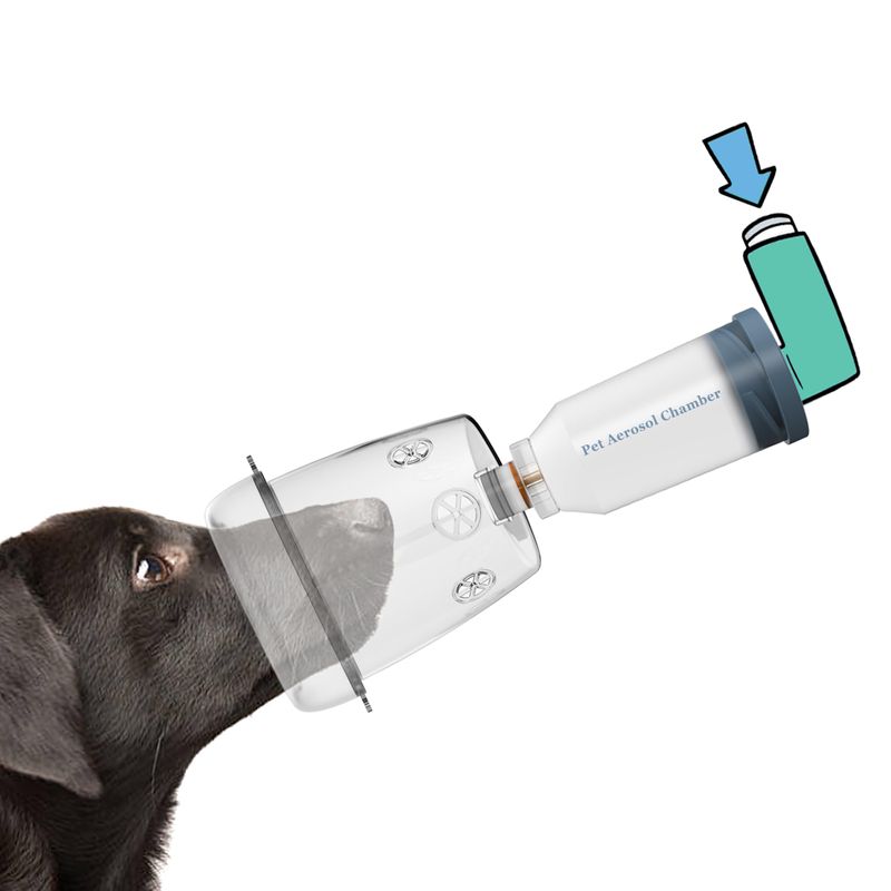Canine Aerosol Chamber Inhaler Spacer for Cats, Dogs, Horse and Other ...