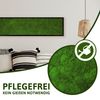 Moosbild Wandbild mit Moos, Moosplatte, versch. Maße (100% Flachmoos)