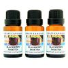 Crazy Candles BlackBerry Sage Tea 3 Bottles 1/2 FL Oz Each (15ml) Premium Grade Scented Fragrance Oil