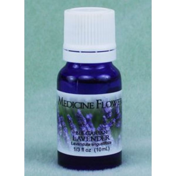 Lavender Pure Essential Oil by Medicine Flower