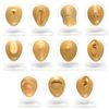 Silicone Eyebrow Display - Tan Body Bit Version 1