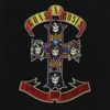 Appetite For Destruction