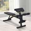 Multi-Functional Sit-Up Dumbbell Bench Adjustable Seat and Back Angle