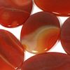 GeoFossils Carnelian Palmstone