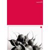 Vitamin-Greeting Card "Radieschen"- Schreibsenfühl®