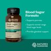 Nature's Sunshine Blood Sugar Formula, 100 caps
