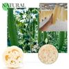 VinBee 4 PCS Natural Shower Loofah Sponge Skin Cleansing Skin Exfoliation Body Back Scrubber for Bathing and Back Caring Spa 4 inch