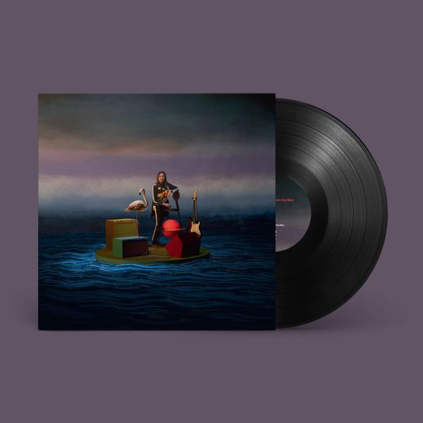 Nobody Loves You More [VINYL]