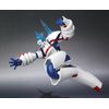 ROBOT魂 [SIDE HERO] ヒーローマン
