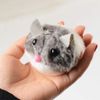 Pull String Mouse Vibrating Movable Interactive Toy Plush Mice For Cats Interaktives Katzenspielzeug Spirale