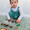 Wild animals set mini 12 pieces 7 - 11 cm
