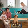 Latch Hook Rug Kit, Home, 60×40 cm