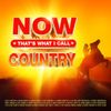 NOW Thats What I Call Country
