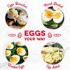 Dash Deluxe Rapid Egg Cooker 12 Egg Capacity Versatile Kitchen Appliance