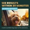 Vetriscience Calm & Confident Chews, Composure Clinically Tested Calmi