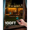 DEWENWILS Outdoor Dimmer for String Lights with Remote Waterproof Plug-in Dimmer